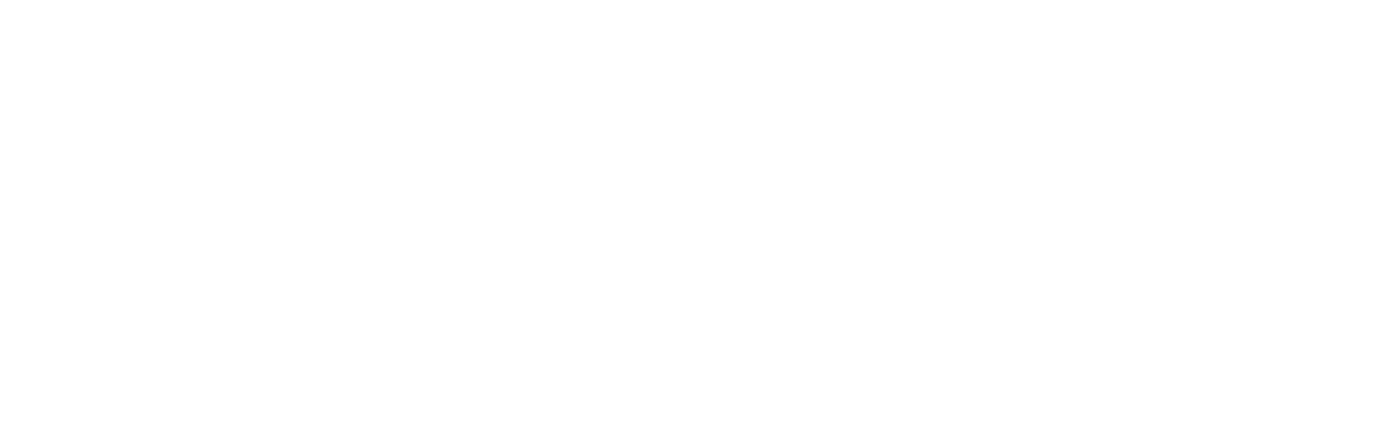 Annorak Intelligence Group