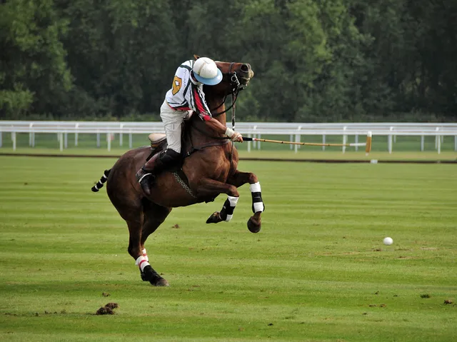 Polo & Horseback Riding