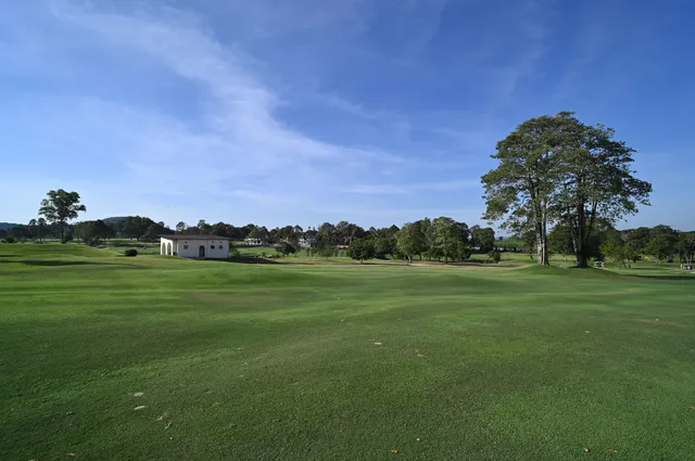 The Links