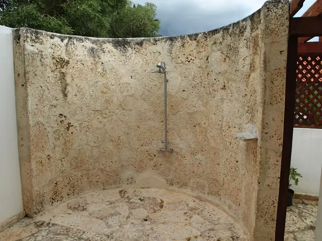 Barranca Este 31 — 24 de 46