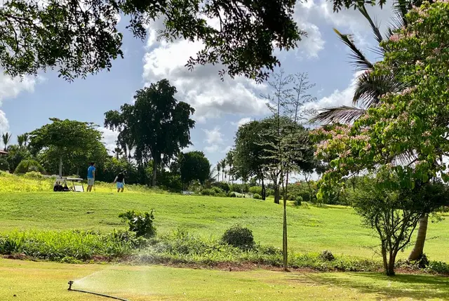 Barranca Sur 2 — 18 de 19
