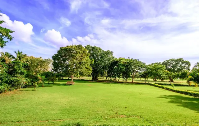 Cajuiles 65 — 19 of 27