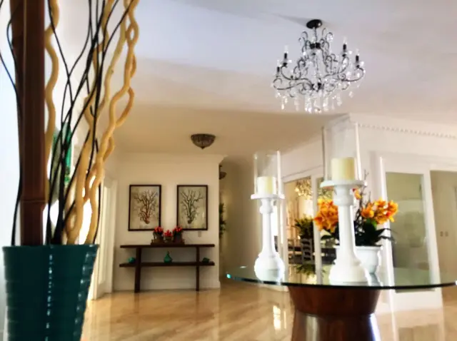 Canas 34 II — 6 de 17