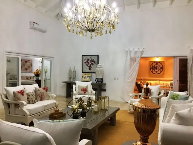 Canas 34 II — 17 de 17
