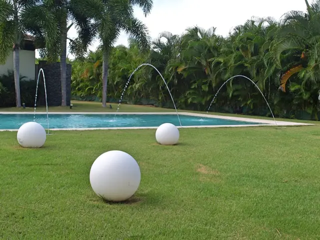 Canas 40 — 19 de 41