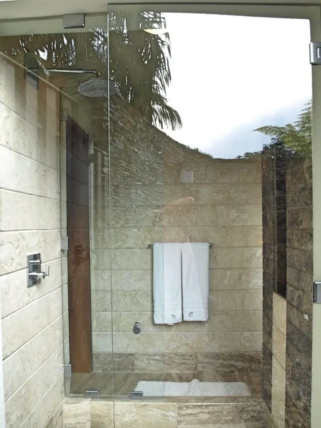 Canas 40 — 29 de 41