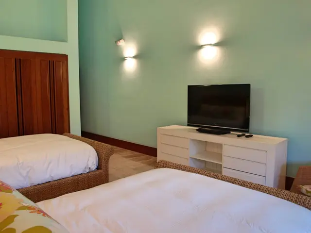 Canas 40 — 36 de 41