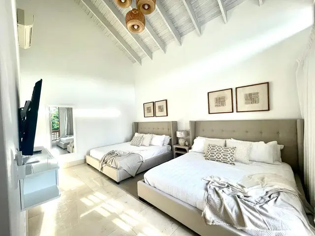 Canas 60 I — 4 de 49