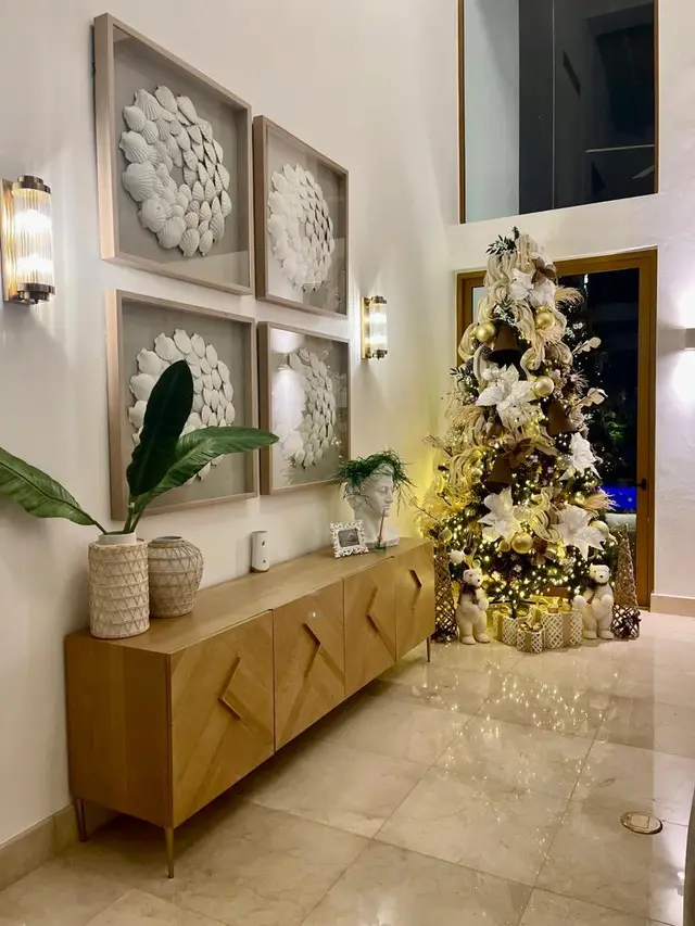 Canas 60 I — 11 de 49