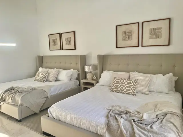 Canas 60 I — 12 de 49