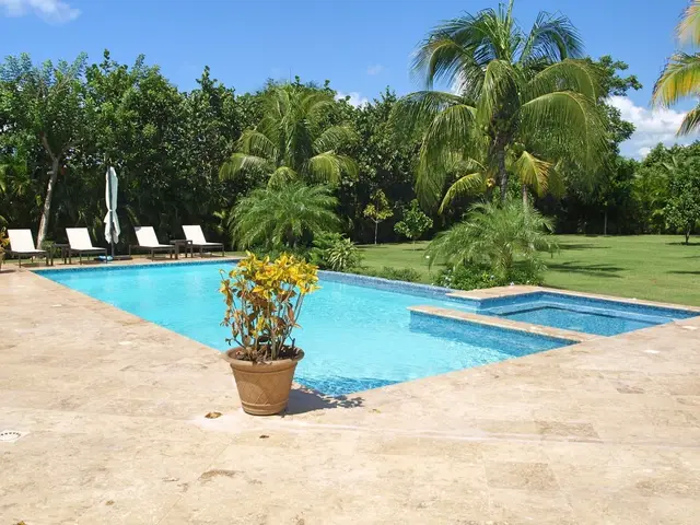 Canas II 15