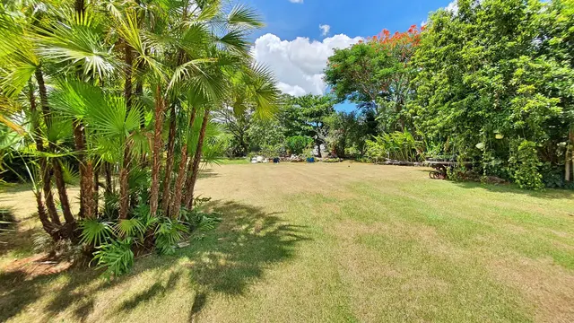 Golf Villa 279 — 32 de 33