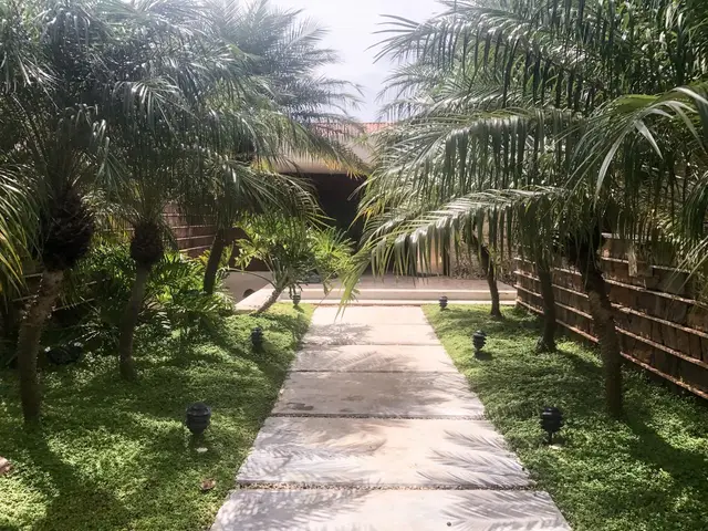 Las Palmas 7 — 16 de 25