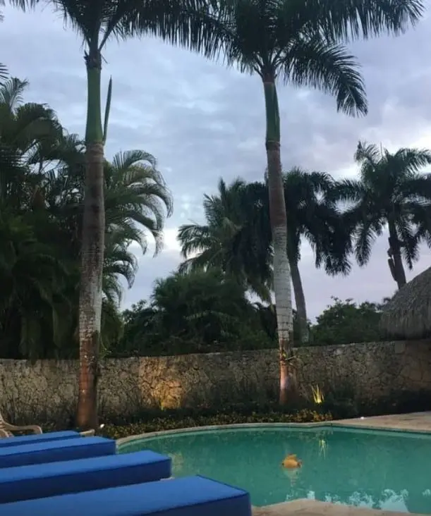 Las Pinas 6 — 5 de 34