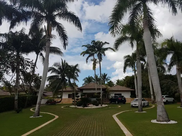 Mangos 2 — 14 de 14
