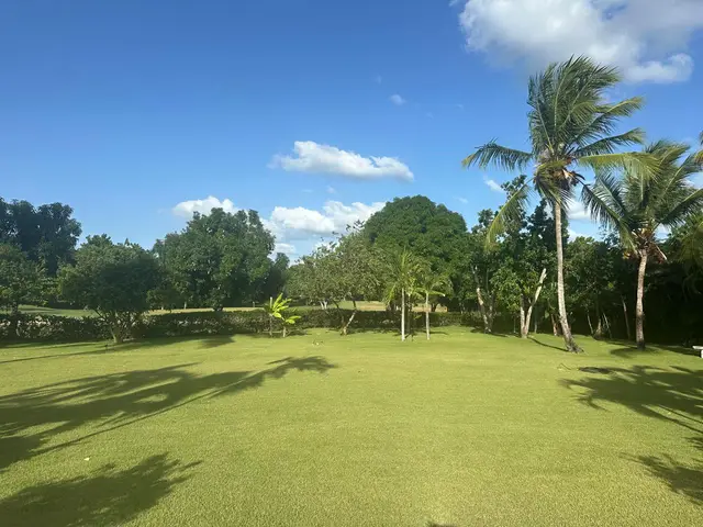 Mangos 20 — 13 de 13