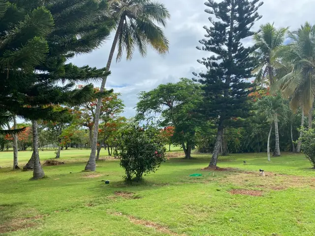 Naranjos 8 — 19 de 33