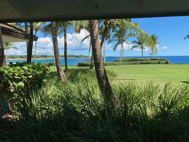 Punta Aguila 26 — 4 de 25