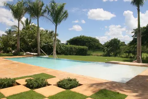 Tamarindos 10 — 7 of 31
