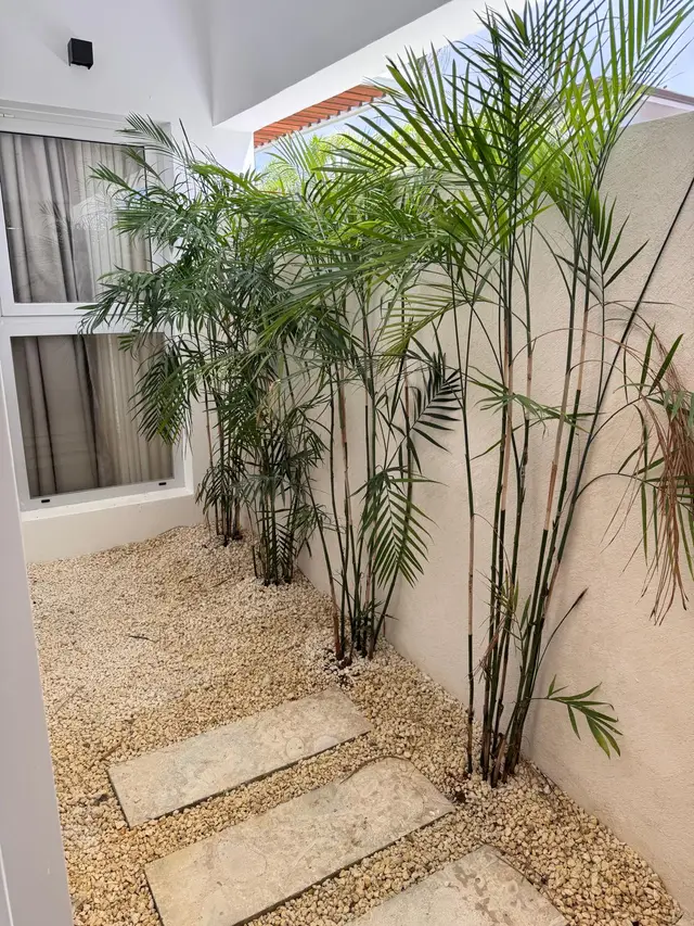 Verenda 26 — 41 de 56