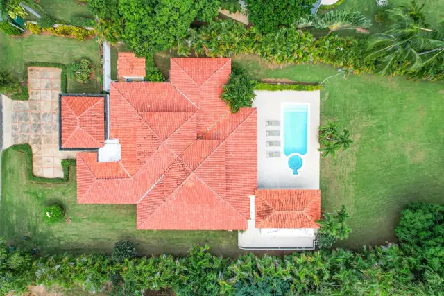 Vivero 24 — 3 of 29
