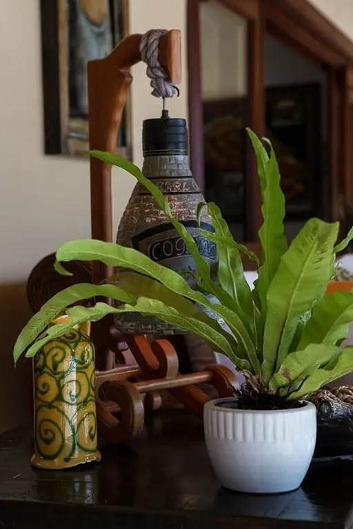 Vivero 59 — 15 de 28