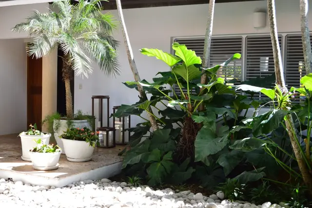 Vivero II 26 — 3 of 19