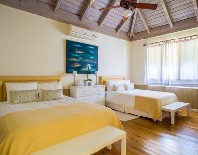 Punta Aguila 11