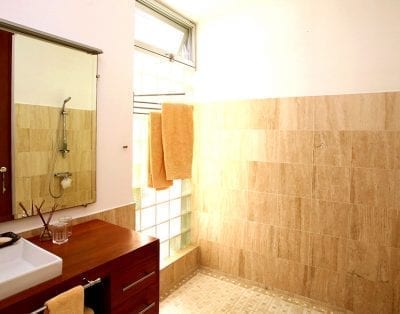 Canas 80