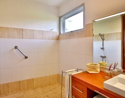 Canas 80