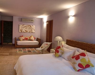 Canas 40