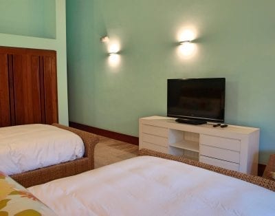 Canas 40