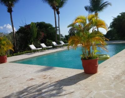 Vivero 57