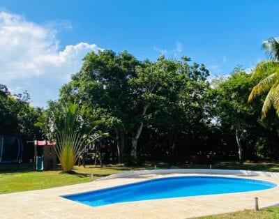 Los Lagos 41