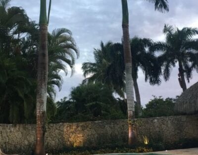 Las Pinas 6