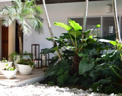 Vivero II 26