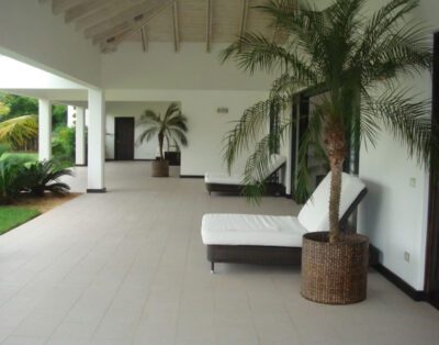 Naranjos 2