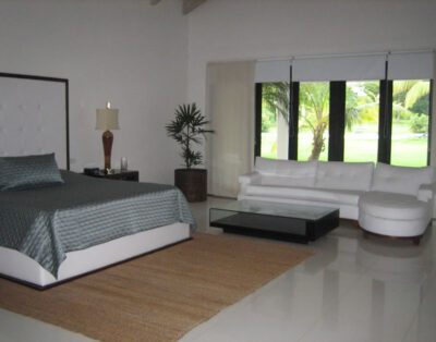 Naranjos 2