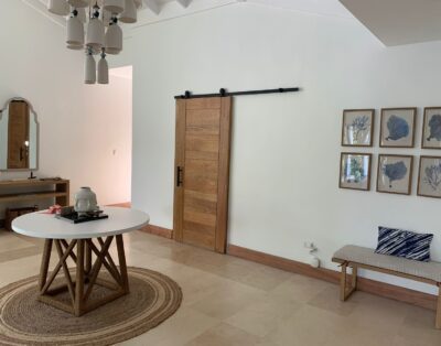 Vivero 43