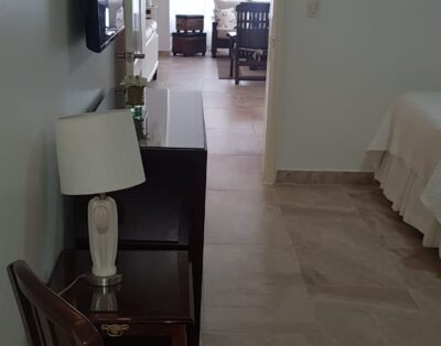 Vivero 1