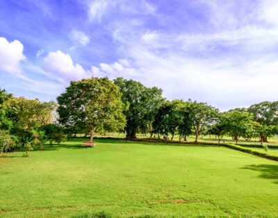 Cajuiles 65