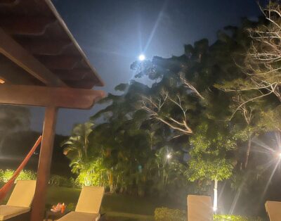 Almendros 18