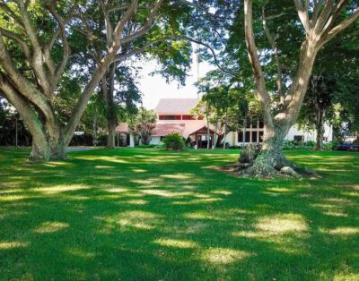 Punta Aguila 4