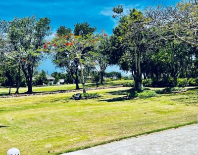Barranca Oeste 8