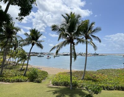 Punta Minitas 37