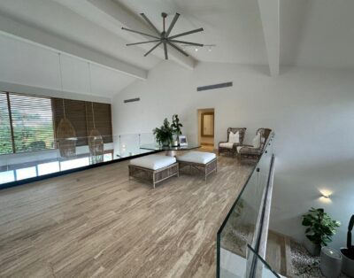 Canas I 59