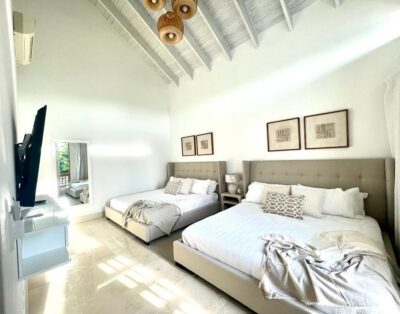 Canas 60 I
