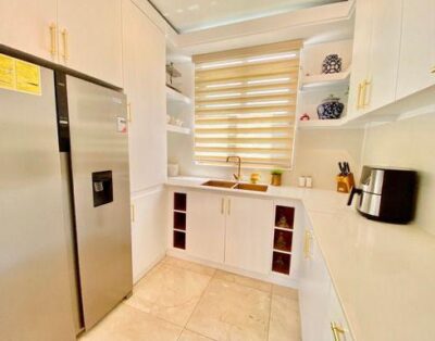 Canas 60 I