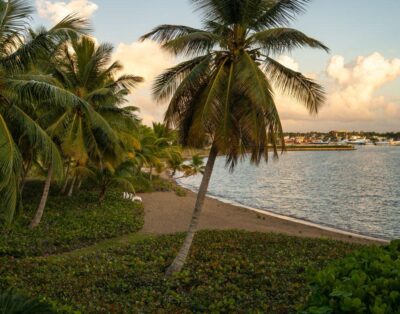 Punta Minitas 37