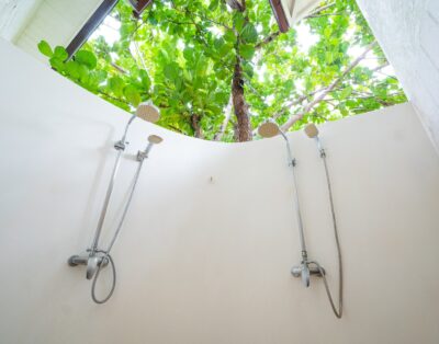 Vivero 25